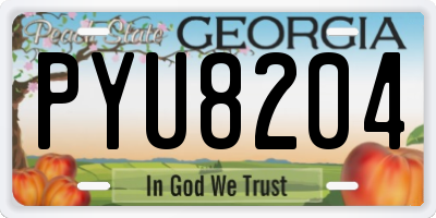 GA license plate PYU8204