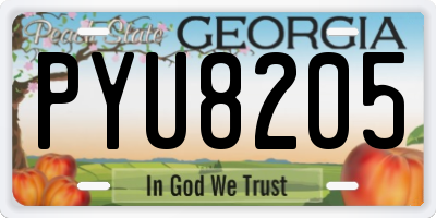 GA license plate PYU8205