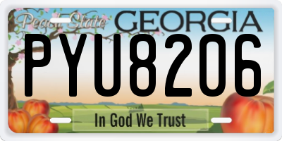 GA license plate PYU8206