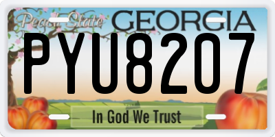 GA license plate PYU8207