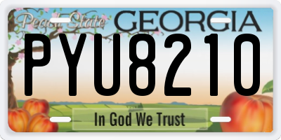 GA license plate PYU8210