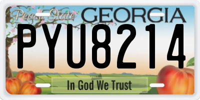 GA license plate PYU8214