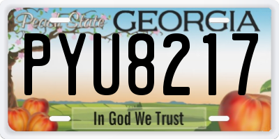 GA license plate PYU8217