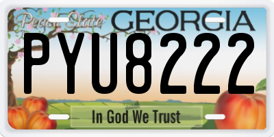 GA license plate PYU8222