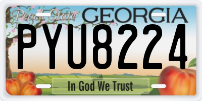 GA license plate PYU8224