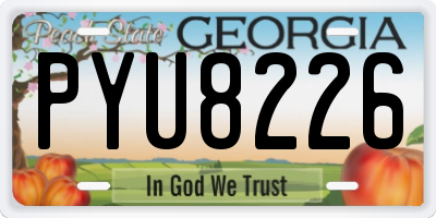GA license plate PYU8226