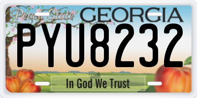 GA license plate PYU8232
