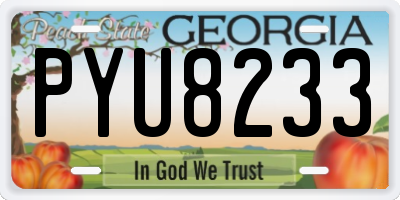 GA license plate PYU8233