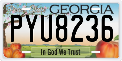 GA license plate PYU8236