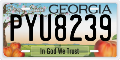 GA license plate PYU8239