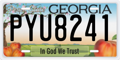 GA license plate PYU8241