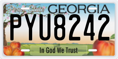 GA license plate PYU8242