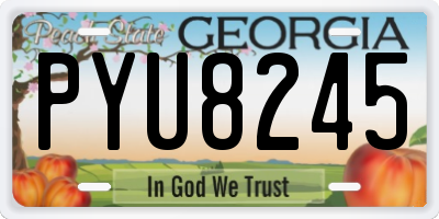 GA license plate PYU8245