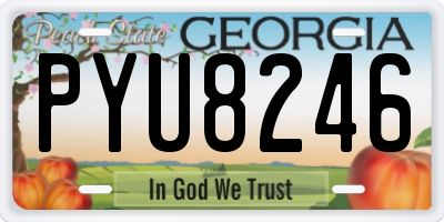GA license plate PYU8246