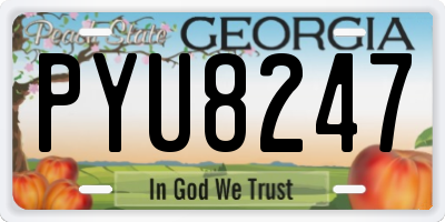 GA license plate PYU8247