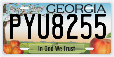 GA license plate PYU8255
