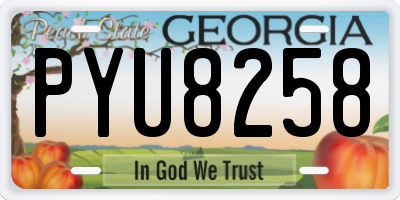 GA license plate PYU8258