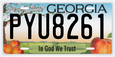 GA license plate PYU8261