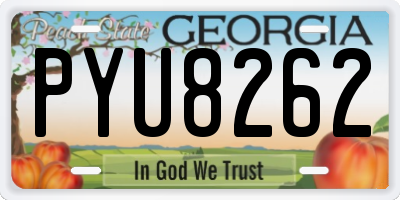 GA license plate PYU8262