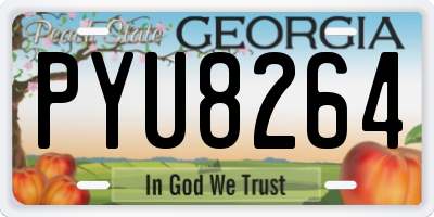 GA license plate PYU8264