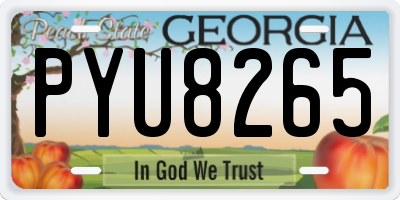 GA license plate PYU8265