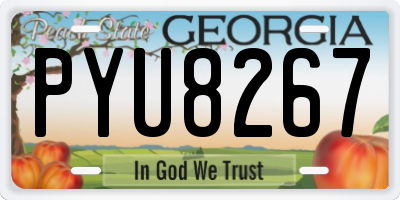 GA license plate PYU8267