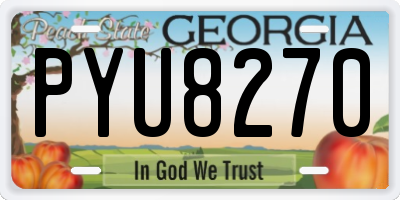 GA license plate PYU8270
