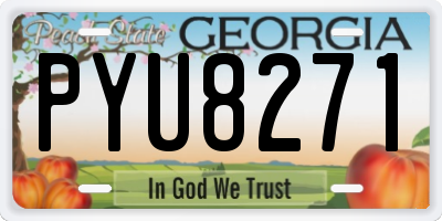 GA license plate PYU8271