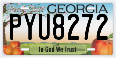 GA license plate PYU8272