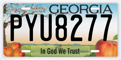GA license plate PYU8277