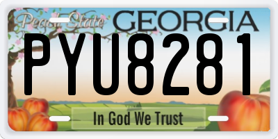 GA license plate PYU8281