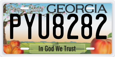 GA license plate PYU8282