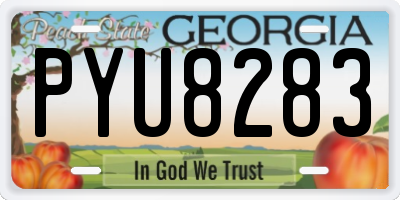 GA license plate PYU8283