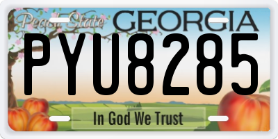 GA license plate PYU8285