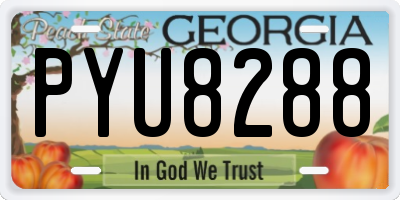 GA license plate PYU8288