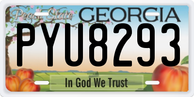 GA license plate PYU8293