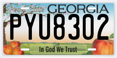 GA license plate PYU8302