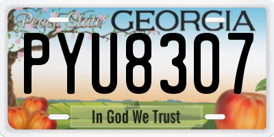 GA license plate PYU8307