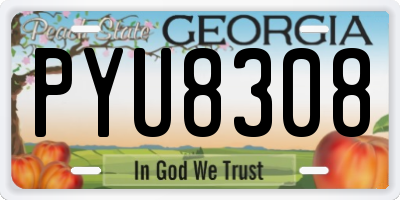 GA license plate PYU8308