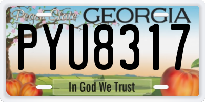 GA license plate PYU8317