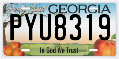 GA license plate PYU8319