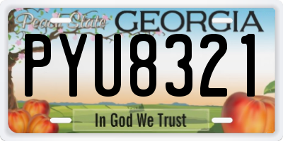 GA license plate PYU8321