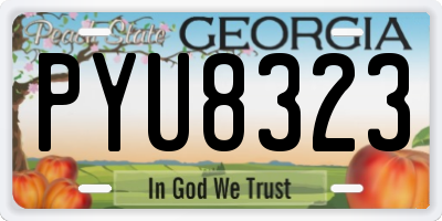 GA license plate PYU8323