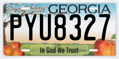 GA license plate PYU8327