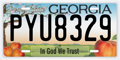 GA license plate PYU8329