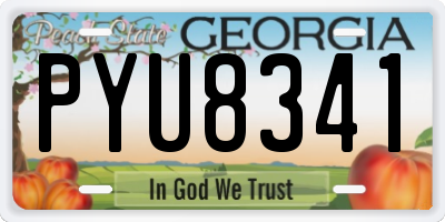 GA license plate PYU8341