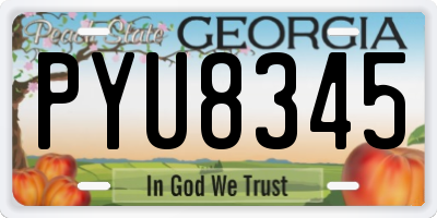 GA license plate PYU8345