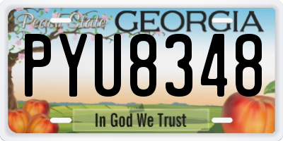 GA license plate PYU8348
