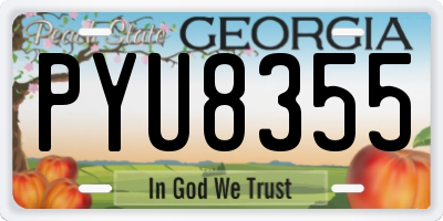 GA license plate PYU8355