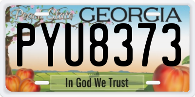 GA license plate PYU8373